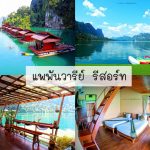แพพันวารีย์-tile~1