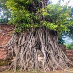 อุทยานแห่งชาติประวัติศาสตร์