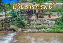 บ้านธารภิรมย์ โฮมสเตย์ ติดลำธาร บ้านแม่แมะ ท่ามกลางธรรมชาติ อ.เชียงดาว จ.เชียงใหม่ ปกบ้านธารภิรมย์
