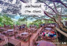 เดอะไจแอนท์ เชียงใหม่ (The Giant Chiangmai) ร้านกาแฟหลักสิบบรรยากาศหลักแสน กินเค้ก จิ่บกาแฟ บนต้นไม้ที่ล้อมรอบด้วยภูเขา | เชียงใหม่ ปกเดอะไจแอ้น