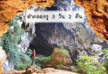 รีวิวทริปเดินป่า ลำคลองงู 3 วัน 2 คืน พิชิตถ้ำเสาหิน ที่สูงที่สุดในโลก ถ้ำนกนางแอ่น ถ้ำทะลุมิติ ถ้ำเอเลี่ยน | จ.กาญจนบุรี ปกเดี่ยวลำคลองงู