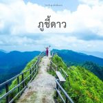 ภูชี้ดาว