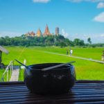 มีนาคาเฟ่ คาเฟ่กลางทุ่งนา