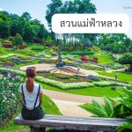 สวนแม่ฟ้าหลวง