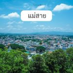 แม่สาย