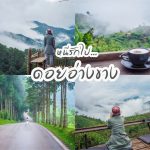 ดอยอ่างขาง (1)