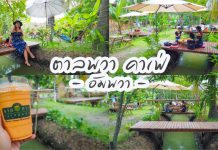ตาลพวา (Tarnpawa) อัมพวา ร้านคาเฟ่ ร้านอาหารชิวๆ ในสวนมะพร้าว บรรยากาศดี ใกล้แหล่งท่องเที่ยวดังๆอีกเพียบ จ.สมุทรสงคราม ตาลพวา คาเฟ่