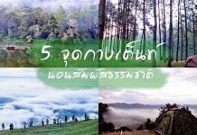 5 จุดกางเต็นท์ในสถานที่ท่องเที่ยว นอนฟังเสียงธรรมชาติอย่างใกล้ชิด ทะเลหมอก น้ำตก ริมแม่น้ำ รับอากาศบริสุทธิ์ ปลอดโปร่ง ปกรวม5จุดกางเต็นท์