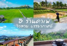 8 ร้านคาเฟ่ ชมวิวสวยๆ กลางทุ่งนาหรือภูเขา บรรยากาศดี ร่มรื่น อากาศปรอดโปร่ง ถ่ายรูปเก๋ๆ เครื่องดื่มอร่อย ปกรวม8คาเฟ่วิวสวย~1