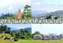 อุทยานแห่งชาติห้วยน้ำดัง ที่เที่ยวหน้าหนาวยอดฮิต อากาศเย็นสบายตลอดปี จุดชมวิว ห้วยน้ำดัง (ดอยกิ่วลม) ปกรวมอุทยานแห่งชาติห้วยน้ำดัง~1