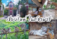 เชียงใหม่ ไนท์ซาฟารี ชมความน่ารักของสัตว์อย่างใกล้ชิด สวนสัตว์กลางคืนที่ใหญ่ที่สุดในโลก Chiang Mai Night Safari เชียงใหม่ไนท์ซาฟารี