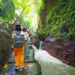 Monkey forest