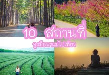 10 สถานที่จูงมือพาแม่ไปเที่ยว ล้อมรอบด้วยธรรมชาติ เดินตากอากาศ ชมวิวทิวทัศน์สวยงาม เหมาะสำหรับครอบครัว ปกรวม10ที่พาแม่เที่ยว