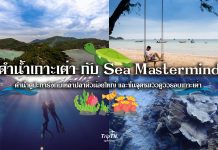 Sea Mastermind Premium Dive Resort ดำไม่กลัว กลัวไม่ได้ดำน้ำมากกว่า มาเตรียมร่างกายให้พร้อม แล้วไปดำน้ำเกาะเต่ากัน Sea Mastermind