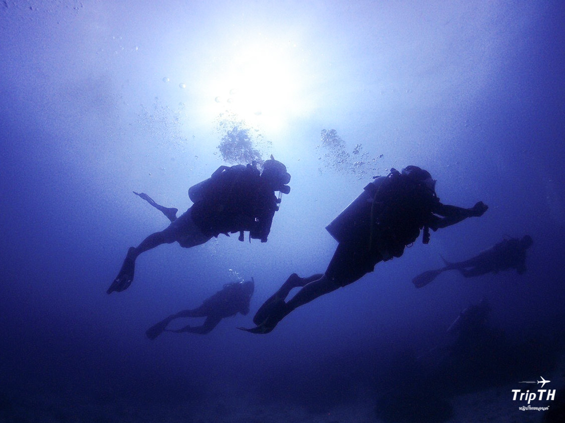 Sea Mastermind Premium Dive Resort