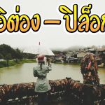 อีต่อง ปิล็อก