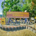 ศูนย์ศึกษาธรรมชาติป่าชายเลน อ่าวคุ้งกระเบน