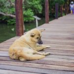 อยากรับกับธรรมชาติต้องมาที่นี่เลยจันทบุรี