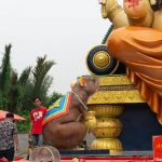 วัดพราหมณ์มหาเทวาลัย