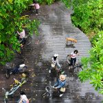 สวนศรีนครเขื่อนขันธ์