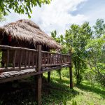 ที่พัก Chai Lai Orchid Mountain เชียงใหม่