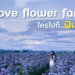 i love flower farm ใครไปก็ฟิน