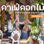 ปกดพจ คาเฟ่ดอกไม้