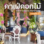 ปกเพจ-คาเฟ่ดอกไม้