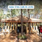 Cedar-ป่าสน-Cafe-At-เขาค้อ-100