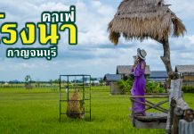 โรงนาคาเฟ่ กาญจนบุรี คาเฟ่บรรยากาศลูกทุ่ง ณ ท้องทุ่งไร่นา คาเฟ่กาญจนบุรี โรงนาคาเฟ่-