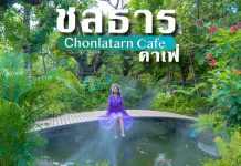 ชลธารคาเฟ่ นครปฐม คาเฟ่ท่ามกลางสวนสวยสไตล์ Topical Ferest ชลธารคาเฟ่ นครปฐม