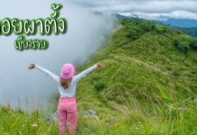 “ดอยผาตั้ง” จ.เชียงราย ดอยที่สัมผัสไอหมอกปังๆได้สุดคุ้ม ดอยผาตั้ง เชียงราย