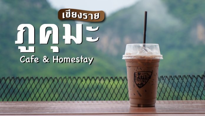 ภู-คุมะ-Cafe-&Homestay เชียงราย