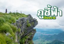 ชื่นชมเสน่ห์ของ “ภูชี้ฟ้า” ภูที่มอบความสุขให้กับทุกคน ที่ จ.เชียงราย ภูชี้ฟ้า เชียงราย