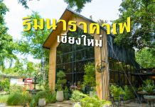 ห้ามพลาด ริมนาราคาเฟ่ คาเฟ่ในเชียงใหม่ฯ บรรยากาศดี น่านั่ง ถ่ายรูปสวย ริมนาราคาเฟ่ เชียงใหม่