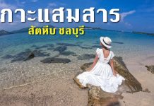 ห้ามพลาดพายเรือเล่น ดำน้ำดูปะการัง ทะเลใสใกล้เมืองกรุง ที่เกาะแสมสาร สัตหีบ ชลบุรี เกาะแสมสาร สัตหีบ ชลบุรี