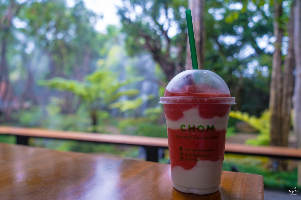 อาหารคาเฟ่เชียงใหม่ ชมคาเฟ่ Chom Cafe