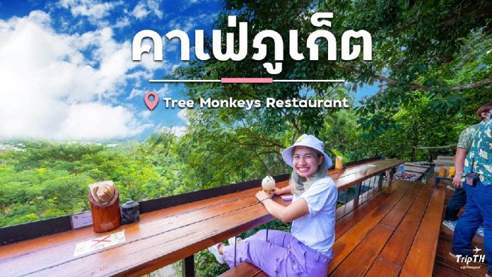 Tree monkey restaurant