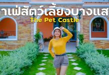 The Pet Castle คาเฟ่สัตว์เลี้ยงที่ใหญ่ที่สุดในชลบุรี ไม่มาไม่ได้แล้ว The Pet Castle