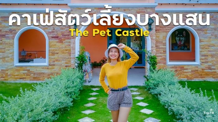 The Pet Castle
