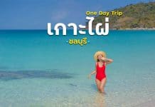 “เกาะไผ่” เกาะลับแห่งใหม่ของพัทยา อยากบอกว่ามันดีย์!!มากแม่ เกาะไผ่ ชลบุรี