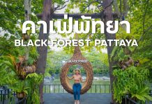 ห้ามพลาด คาเฟ่ เปิดใหม่ พัทยา Black Forest Pattaya ถ่ายรูปสวยมาก ที่สำคัญธรรมชาติสุดๆ Black Forest Pattaya