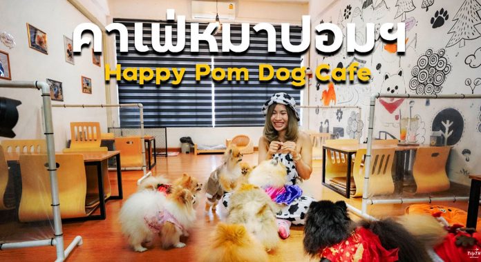 Happy Pom Dog Cafe’