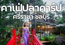 Carp Cafe ศรีราชา ชลบุรี บรรยากาศดี อาหารอร่อย มุมถ่ายรูปปัง ให้อาหารปลาคาร์ปได้แบบใกล้สุด ๆ Carp Cafe ศรีราชา ชลบุรี