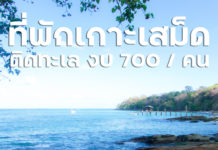 ที่พักเกาะเสม็ด ติดทะเล สไตล์มินิมอลญี่ปุ่น งบ 700.- / คน ที่พักเกาะเสม็ด ติดทะเล สไตล์มินิมอลญี่ปุ่น งบ 700.- / คน