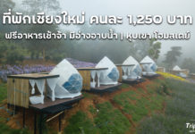 ที่พักเชียงใหม่ โดมหยดน้ำติดแอร์ ฟรีอาหารเช้า มีอ่างอาบน้ำวิวภูเขา | หุบเขา โฮมสเตย์