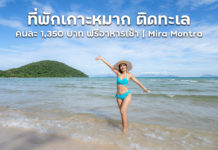 ที่พักเกาะหมาก ติดริมทะเล ตกคนละ 1,350 บาท ฟรีอาหารเช้าและเรือรับส่ง | Mira Montra The Beachfront Resort