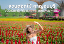 สวนดอกไม้ กาญจนบุรี มุมถ่ายรูปเยอะมาก มาพร้อมกับบุฟเฟ่ต์สวนลำไยไม่อั้น ! | สวนเมเปิ้ล การ์เด้น