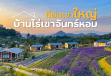 ที่พักเขาใหญ่ ฟรีชาบู ฟรีอาหาร 2 มื้อ วิวทุ่งดอกไม้ ท่ามกลางธรรมชาติ | บ้านไร่เขาจันทร์หอม เขาใหญ่