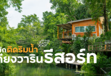 ที่พักสระบุรี ติดริมน้ำตก คืนละ 880 บาท ฟรีอาหารเช้า สัตว์เลี้ยงเข้าพักได้ | เคียงวาริน รีสอร์ท